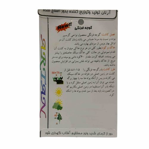 بذر گوجه فرنگی - Image 2