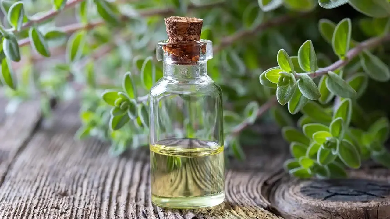 روغن مرزنجوش راگا