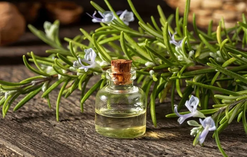 عصاره روغنی رزماری دکتر زرقانی 30 میلی لیتر